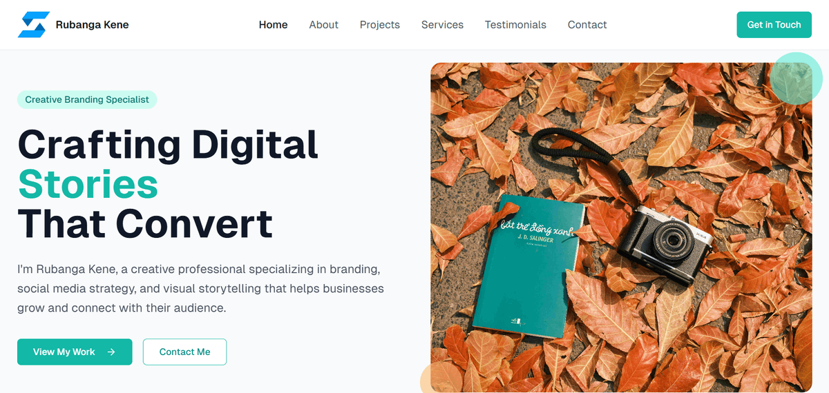 Professional Portfolio